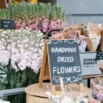 Private Auckland Tour - FAQ: Your Practical Questions Answered