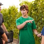 Private Biking Wine Tour (Full Day) Marlborough Region - Is This Tour Worth the Price?