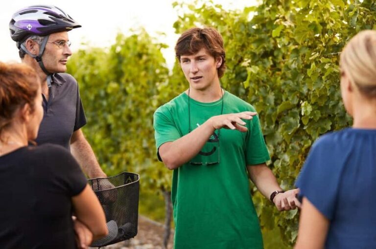 Private Biking Wine Tour (Full Day) Marlborough Region - Is This Tour Worth the Price?