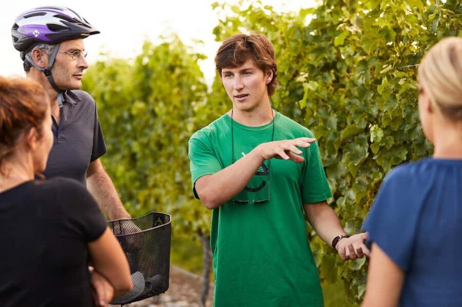 Private Biking Wine Tour (Full Day) Marlborough Region - Is This Tour Worth the Price?