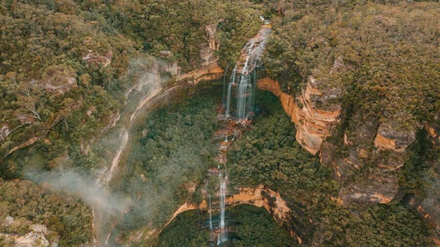 Private Blue Mountains, Scenic World & Wentworth Falls Tour - What Makes This Tour Stand Out?