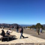 PRIVATE Blue Mountains tour & Koalas, Kangaroos, Cruise plus more - In-Depth Look at the Itinerary