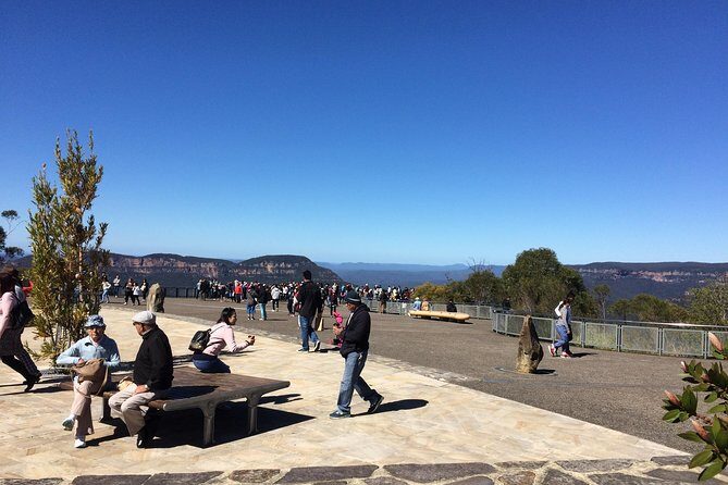 PRIVATE Blue Mountains tour & Koalas, Kangaroos, Cruise plus more - In-Depth Look at the Itinerary