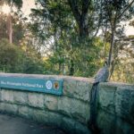 PRIVATE Blue Mountains Wilderness & Wildlife Late Start Tour - Why This Tour Stands Out