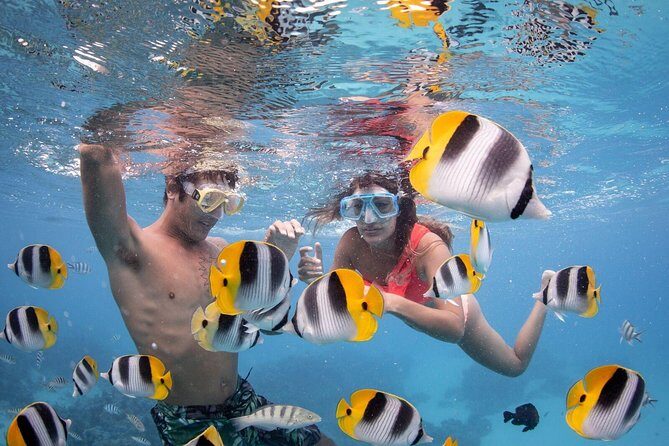 Private Boat Rental on Cap Camarat 17ft - Environmental Commitment and Safety