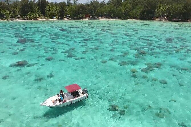 Private Bora Bora Lagoon Experience - The Sum Up