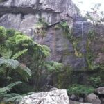 Private Breathtaking Koroyanitu Half Day Waterfall Hike - Practical Details & Tips