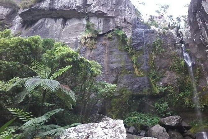 Private Breathtaking Koroyanitu Half Day Waterfall Hike - Practical Details & Tips