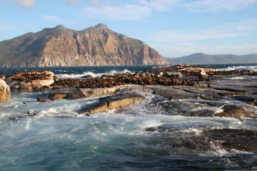 Private Cape of Good Hope Guided Tour - What the Tour Includes and What You’ll Pay Extra For