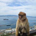 Private Day Trip: Gibraltar & (Tangier) Morocco from Seville - The Itinerary Breakdown