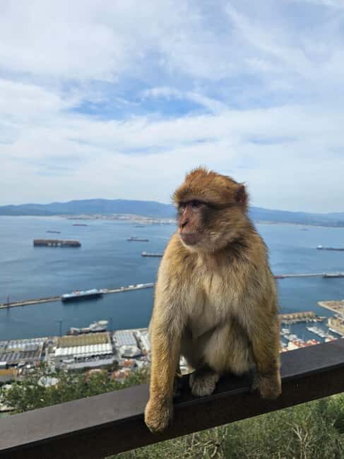 Private Day Trip: Gibraltar & (Tangier) Morocco from Seville - The Itinerary Breakdown