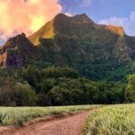 Private Day Trip Hike and Boat in Moorea - Practical Details and What to Expect
