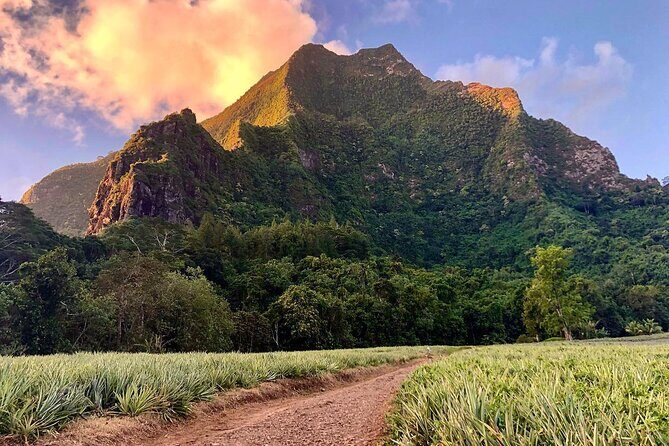 Private Day Trip Hike and Boat in Moorea - Practical Details and What to Expect