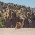 Private Day Trip To Ouzoud Waterfalls - What Sets This Tour Apart