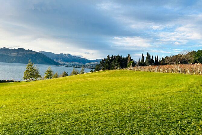 Private Driver Hire  Full-Day Touring Anywhere in New Zealand - A Deep Dive Into the Itinerary