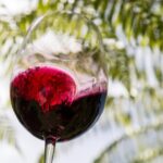 Private Essence of Waiheke Wine Tour - Final Thoughts