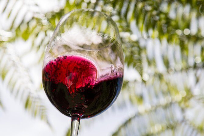 Private Essence of Waiheke Wine Tour - Final Thoughts