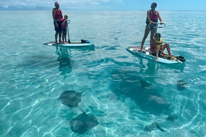 Private Excursion with E-Board in Moorea with snorkeling - The Itinerary and What to Expect
