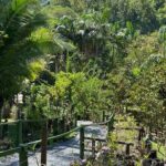 Private Fiji Tour - Practical Considerations & Value