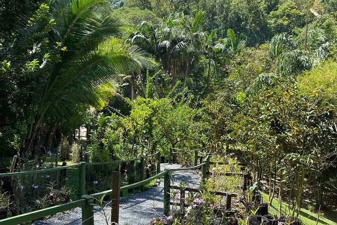 Private Fiji Tour - Practical Considerations & Value