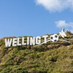 PRIVATE Full Day guided tour of Wellington including Te Papa Tour - Analyzing the Value