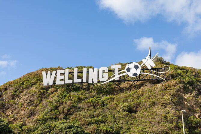 PRIVATE Full Day guided tour of Wellington including Te Papa Tour - Analyzing the Value