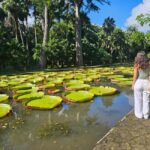 PRIVATE FULL-DAY NORTH AND SOUTH TOUR - FAQ About the Tour