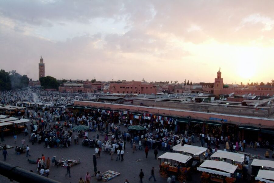 Private Full Day Tour to Essaouira from Marrakech - The Experience of the Guide and Logistics