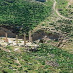 Private Full Day Trip of Umm Qais, and Pella from Amman - Why This Tour Is Worth Considering