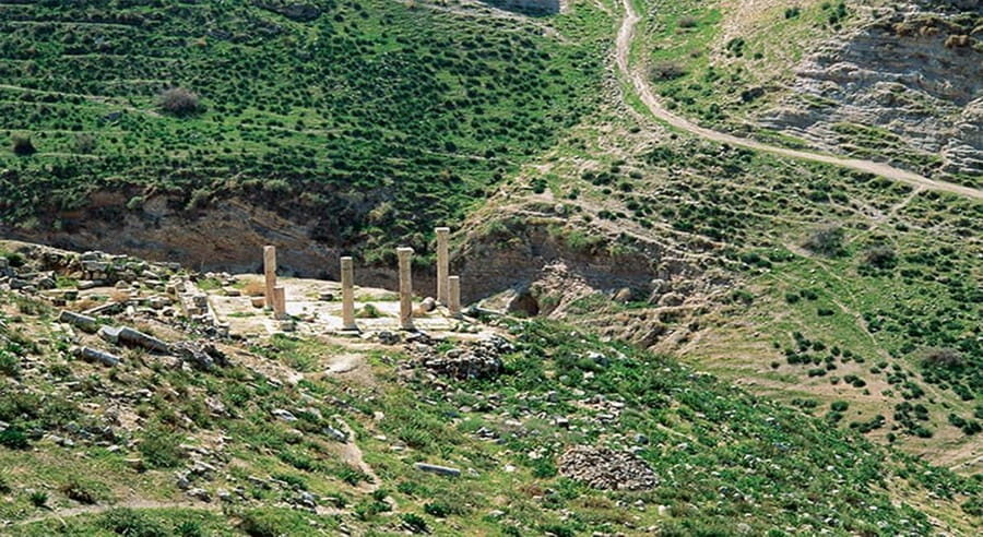 Private Full Day Trip of Umm Qais, and Pella from Amman - Why This Tour Is Worth Considering