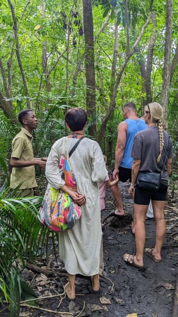 Private Guided Jozani Forest and Stone Town with Tickets - A Stroll Through Stone Town’s Historic Streets