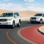 Private Half-Day Desert Safari Tour+Camel Ride - Authentic Experiences and Tips