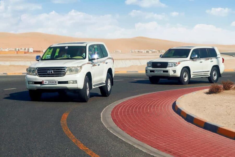 Private Half-Day Desert Safari Tour+Camel Ride - Authentic Experiences and Tips
