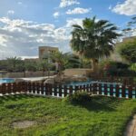 Private Half Day Tour to the Dead Sea from Amman - The Practicalities: What You Need to Know