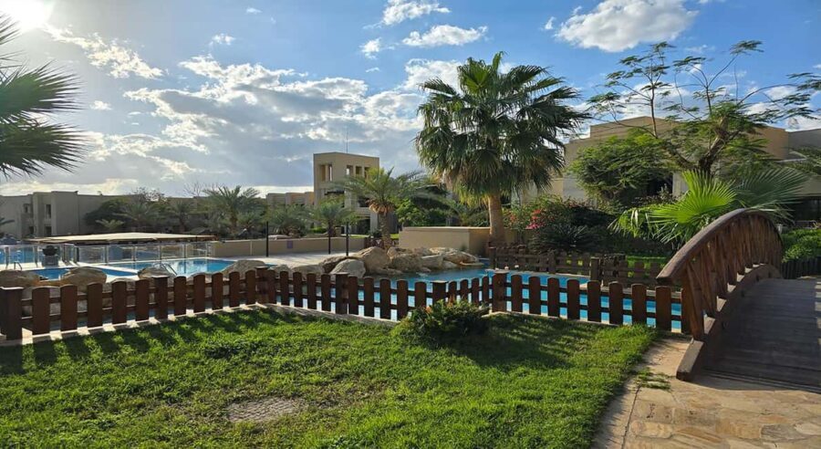 Private Half Day Tour to the Dead Sea from Amman - The Practicalities: What You Need to Know