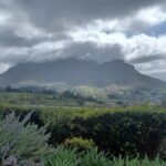Private Halfday Penguin tour - Practical Details & What to Expect