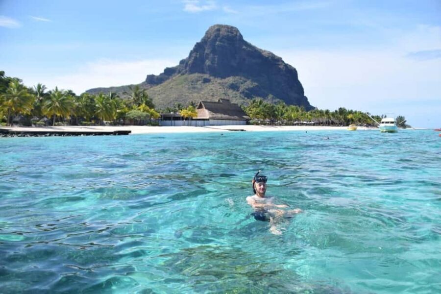 Private Île aux Bénitiers Boat: Dolphin Snorkeling & Lobster - The Full Experience: Detailed Breakdown