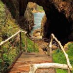 Private Knysna Tour - Full Day - Authentic Experiences and Unique Insights