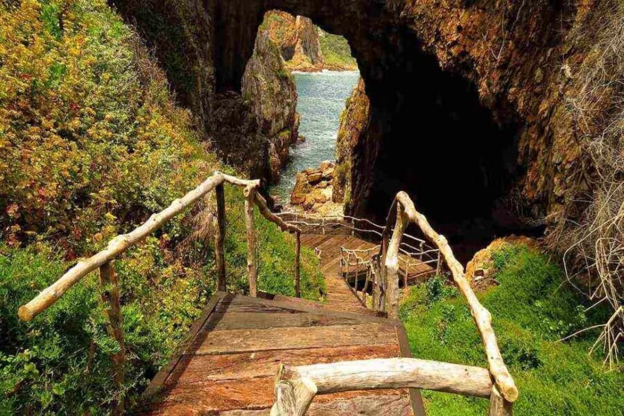 Private Knysna Tour - Full Day - Authentic Experiences and Unique Insights