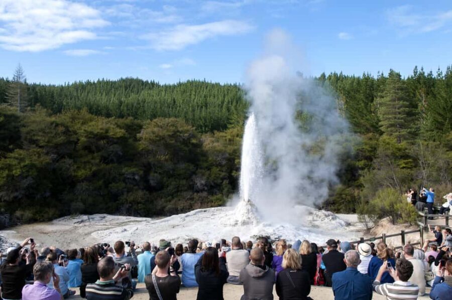 Private Luxury Auckland - Rotorua Geothermal Wonderlands - Why This Tour Offers Genuine Value