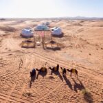 Private Luxury Casablanca Desert tours 10 Days - The Sum Up