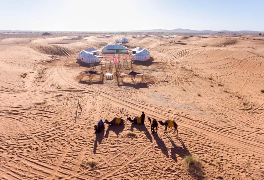 Private Luxury Casablanca Desert tours 10 Days - The Sum Up