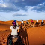Private Luxury Marrakech Desert Tours 7 Days - Transportation, Accommodation, and Overall Value