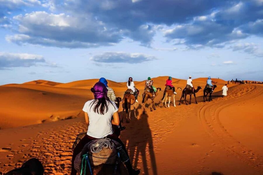 Private Luxury Marrakech Desert Tours 7 Days - Transportation, Accommodation, and Overall Value
