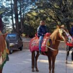 Private Luxury Tangier Desert Tours 6 Days - Practical Details and Value