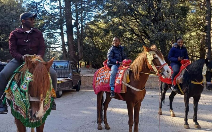 Private Luxury Tangier Desert Tours 6 Days - Practical Details and Value
