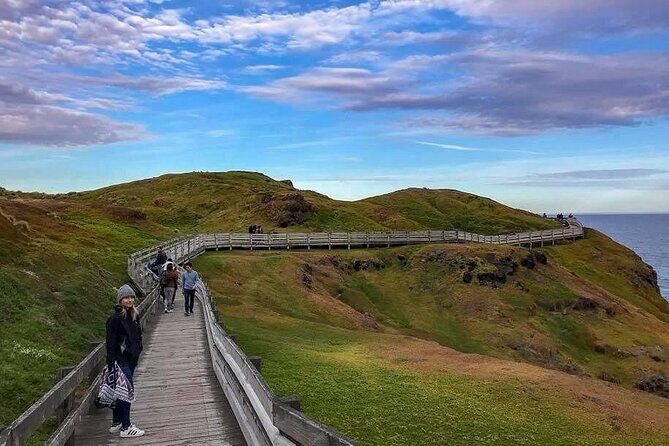 Private Melbourne Tour: Phillip Island and Chocolate Factory - A Closer Look at the Itinerary and What It Means for You