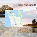 Private One-Way Transfer: Auckland Airport to Hamilton/Rotorua - Pricing and Value