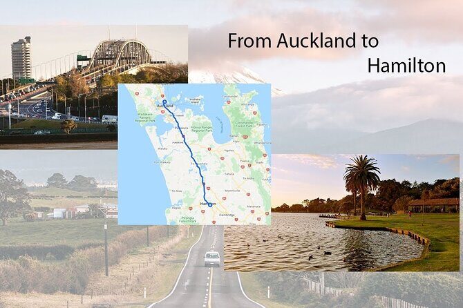 Private One-Way Transfer: Auckland Airport to Hamilton/Rotorua - Pricing and Value