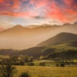 Private Oudtshoorn Full Day Tour - Authentic Experiences & Review Insights